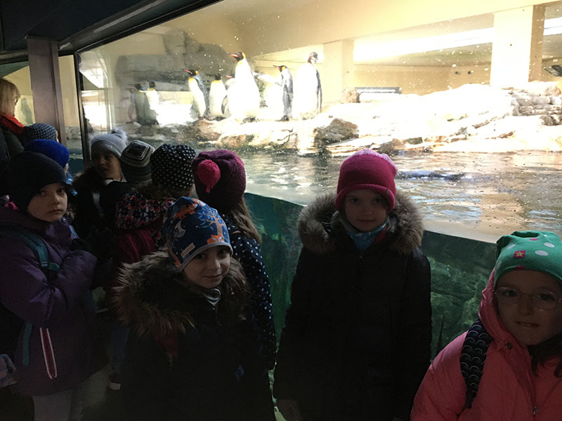 IMG 3755
