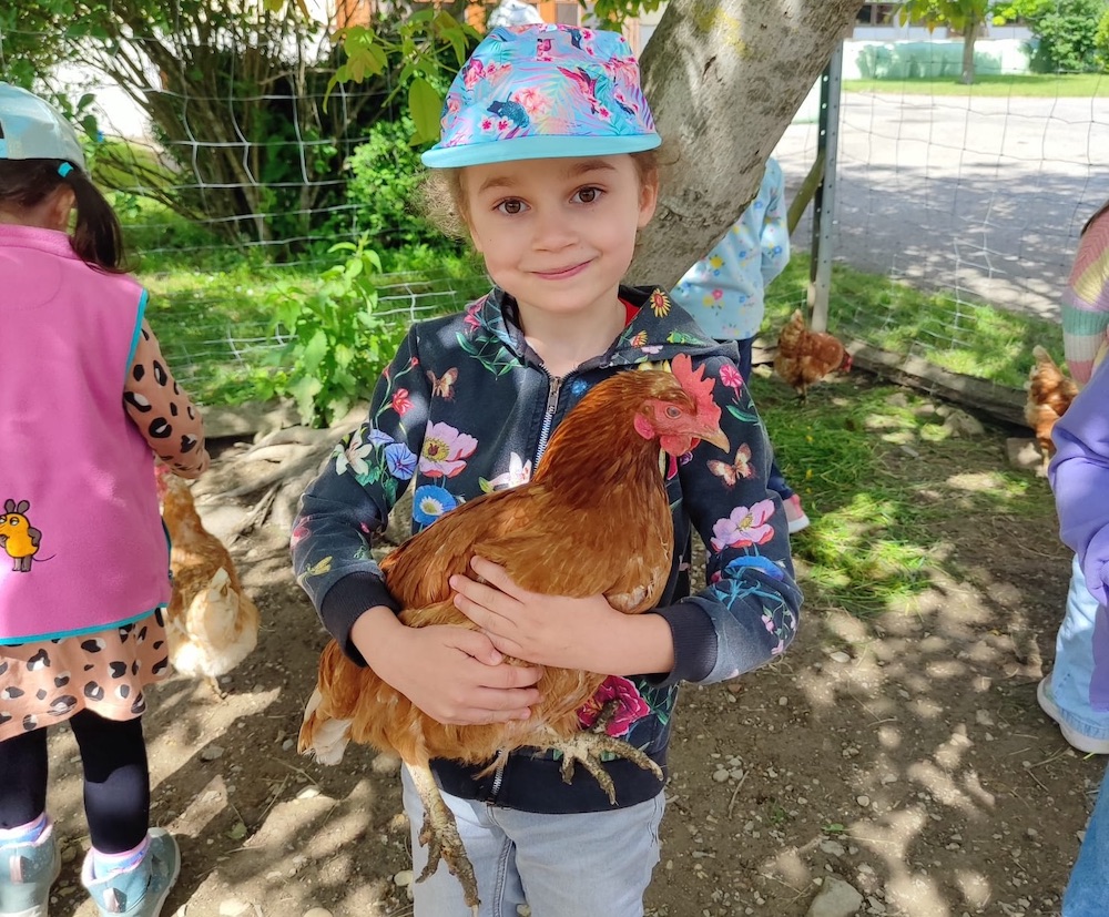 huhn